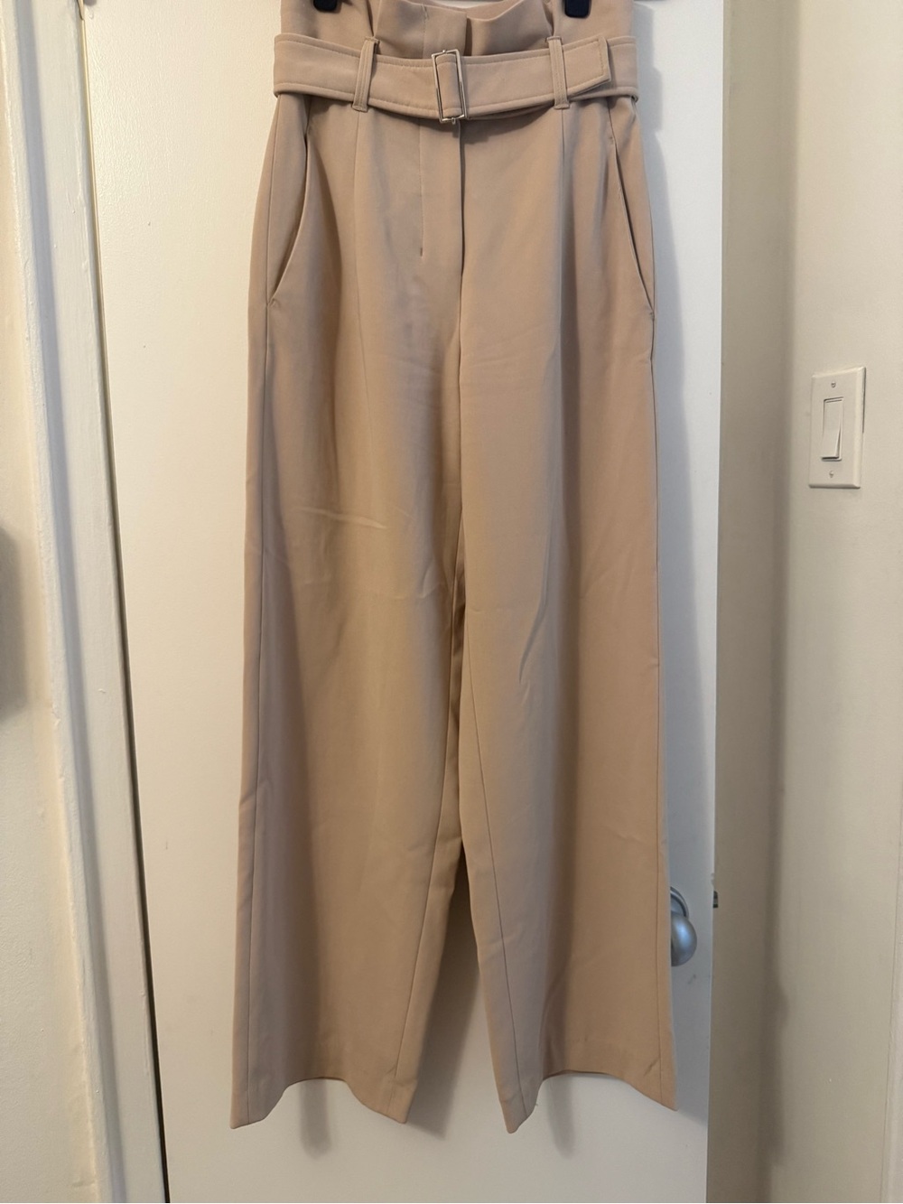 Aritzia Beige High-Waist Wide-Leg Belted Trousers